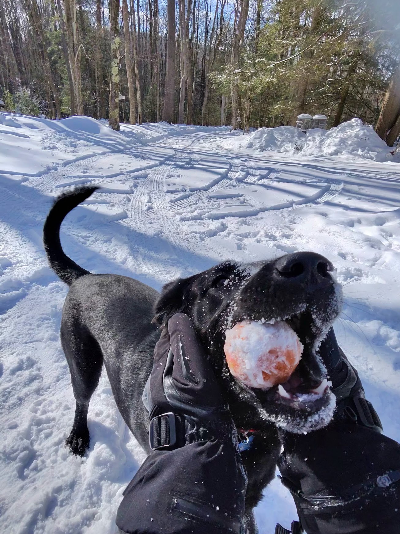 Deep Creek Lake Daily Notes Blog March 4