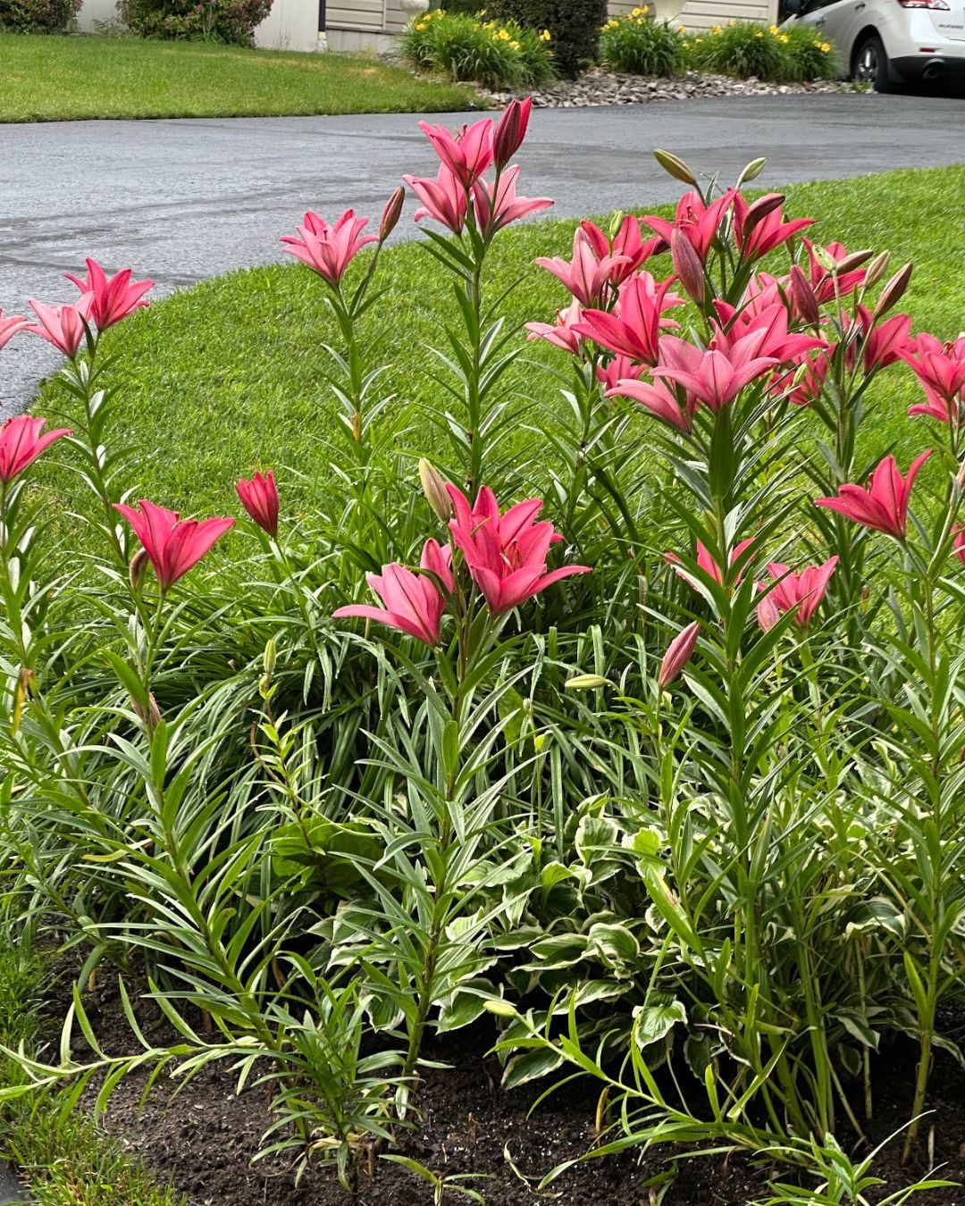 Deep Creek Lake Daily Notes Blog May 11