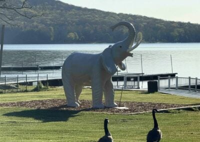 HUGE NEWS: A New Elephant Arrives at Uno’s This Saturday!