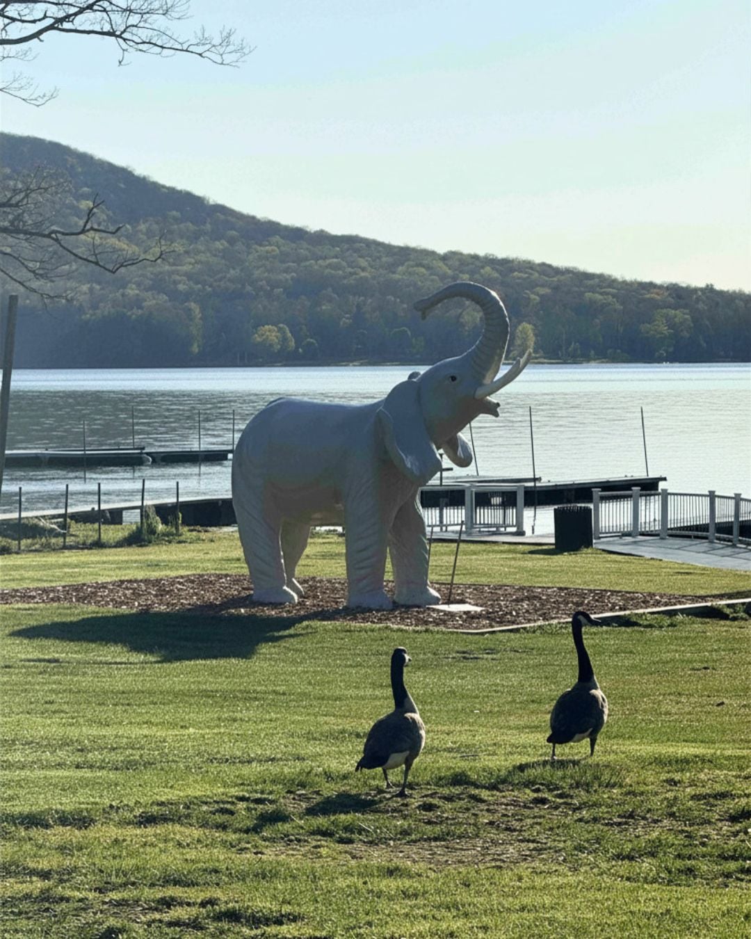 Deep Creek Lake Daily Notes Blog May 13
