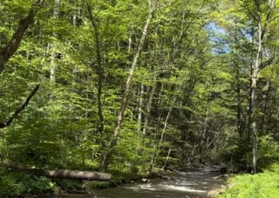 Deep Creek Lake Daily Notes Blog May 19