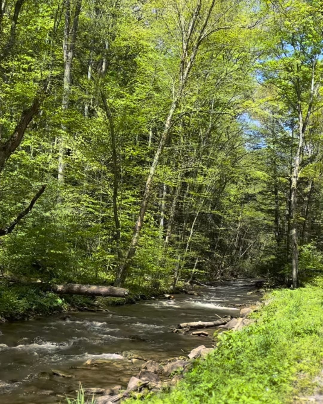Deep Creek Lake Daily Notes Blog May 20