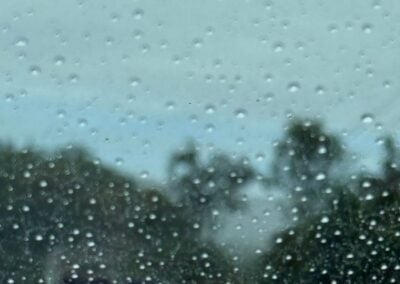 Deep Creek Lake Daily Notes Blog May 21