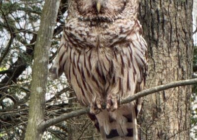 Deep Creek Lake Daily Notes Blog May 28