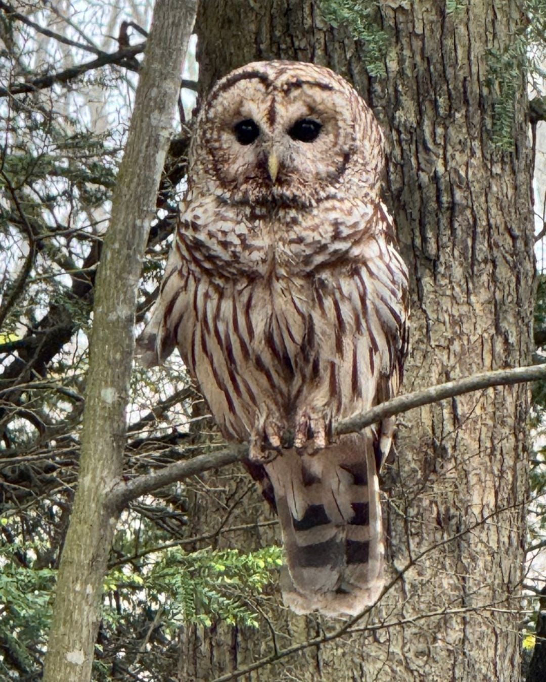 Deep Creek Lake Daily Notes Blog May 28