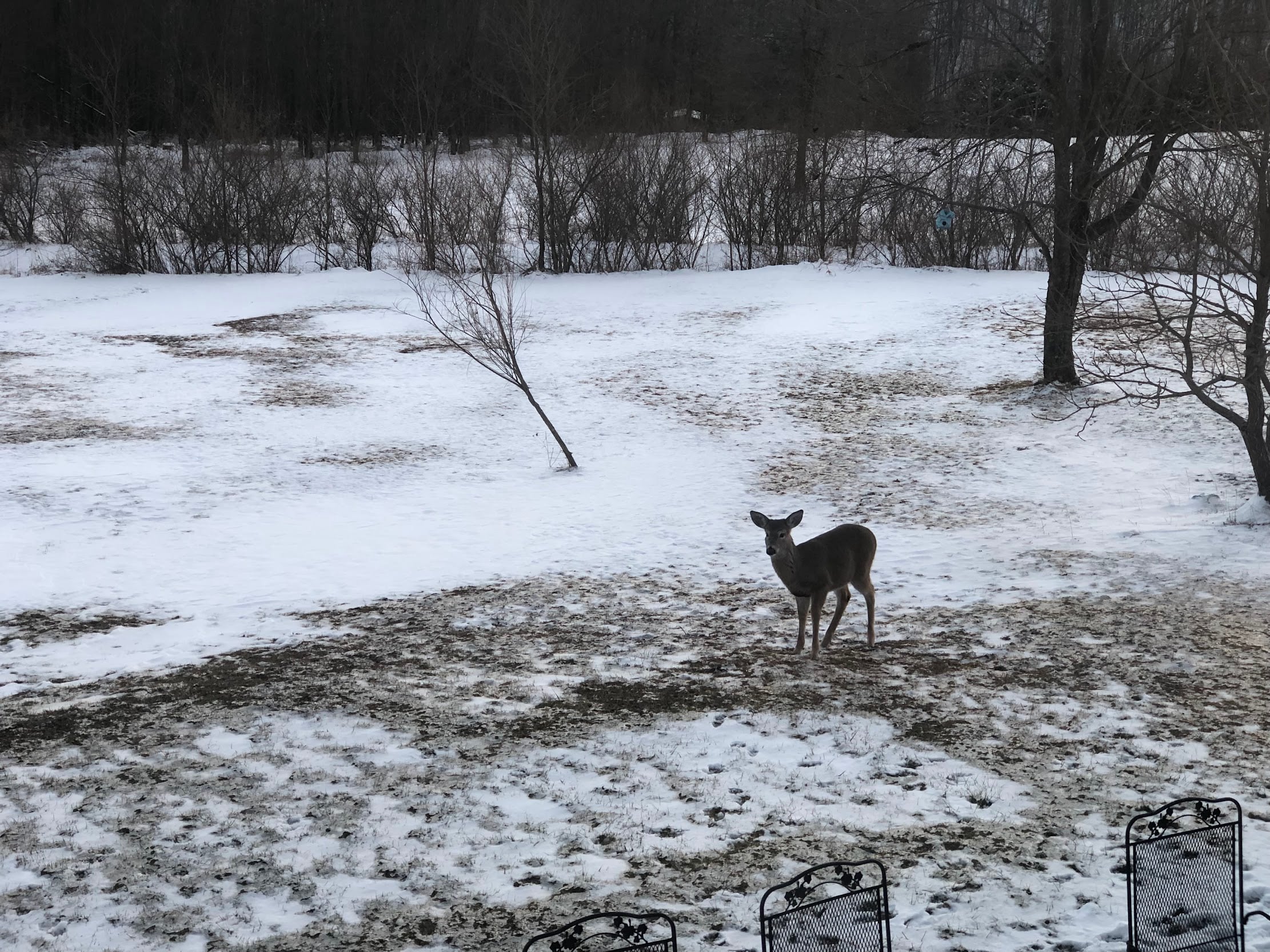 Deep Creek Lake Daily Notes December 12 Weekend