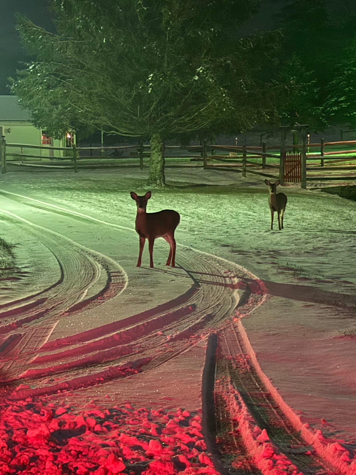 Deep Creek Lake Daily Notes December 19 Weekend