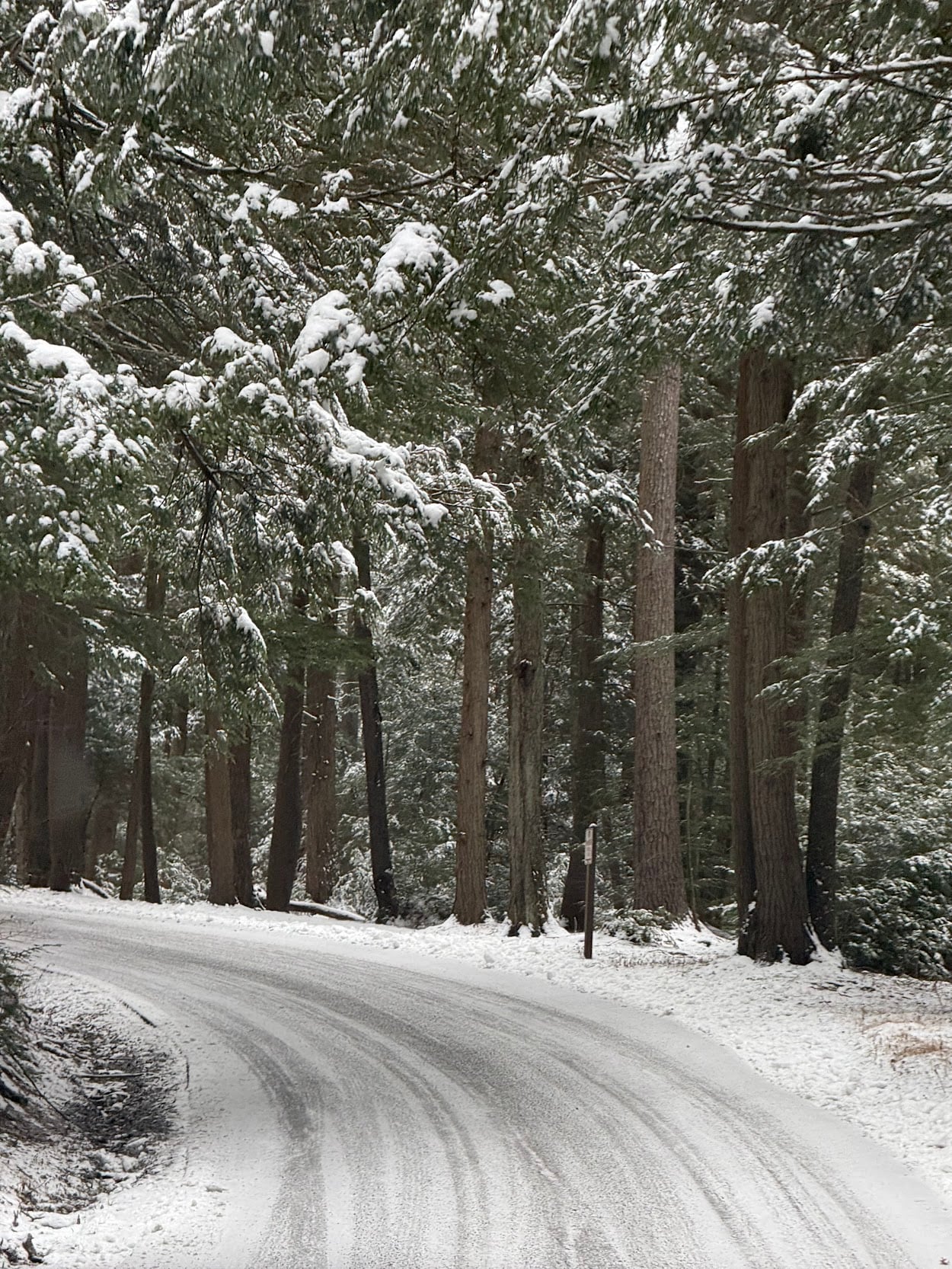 Deep Creek Lake Daily Notes January 2 Weekend