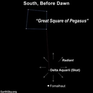 Delta Aquariid Meteor Shower: All You Need to Know in 2025