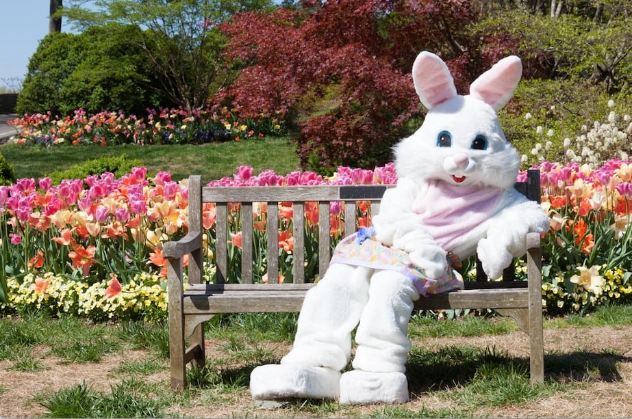 Easter Event at Naylor's Ace Hardware - Oakland (Deep Creek Lake, MD)