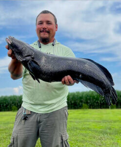Eastern Shore Angler Catches Maryland State Record Snakehead at Deep Creek Lake, MD