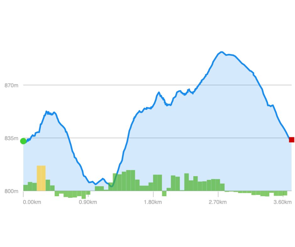 Elevation Profile - South Loop Elevation Profile: South Loop (Margraff)