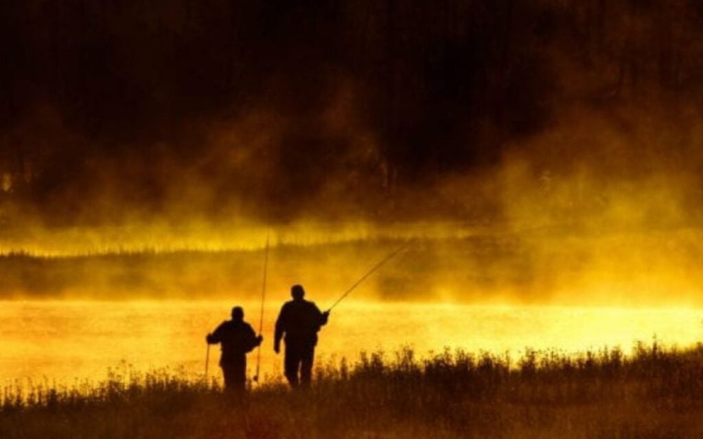 Emerger