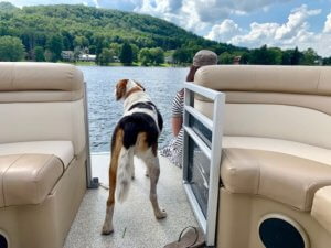 Eric Williams Dog2 at Deep Creek Lake, MD