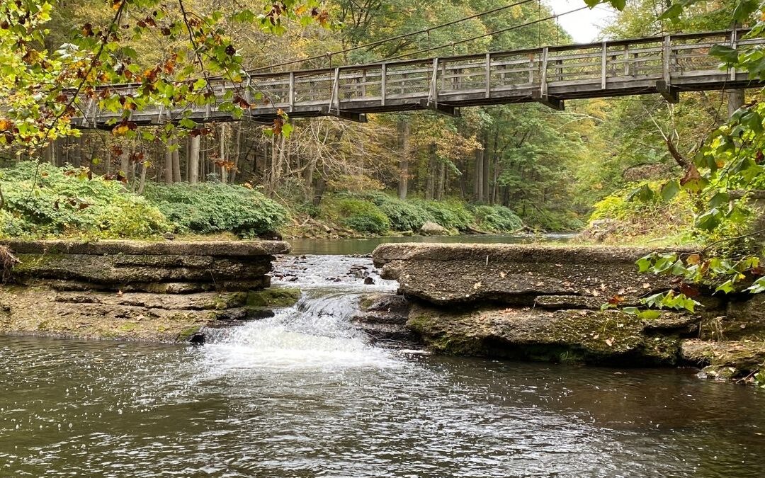 Explore Historic Pedestrian Suspension Bridges
