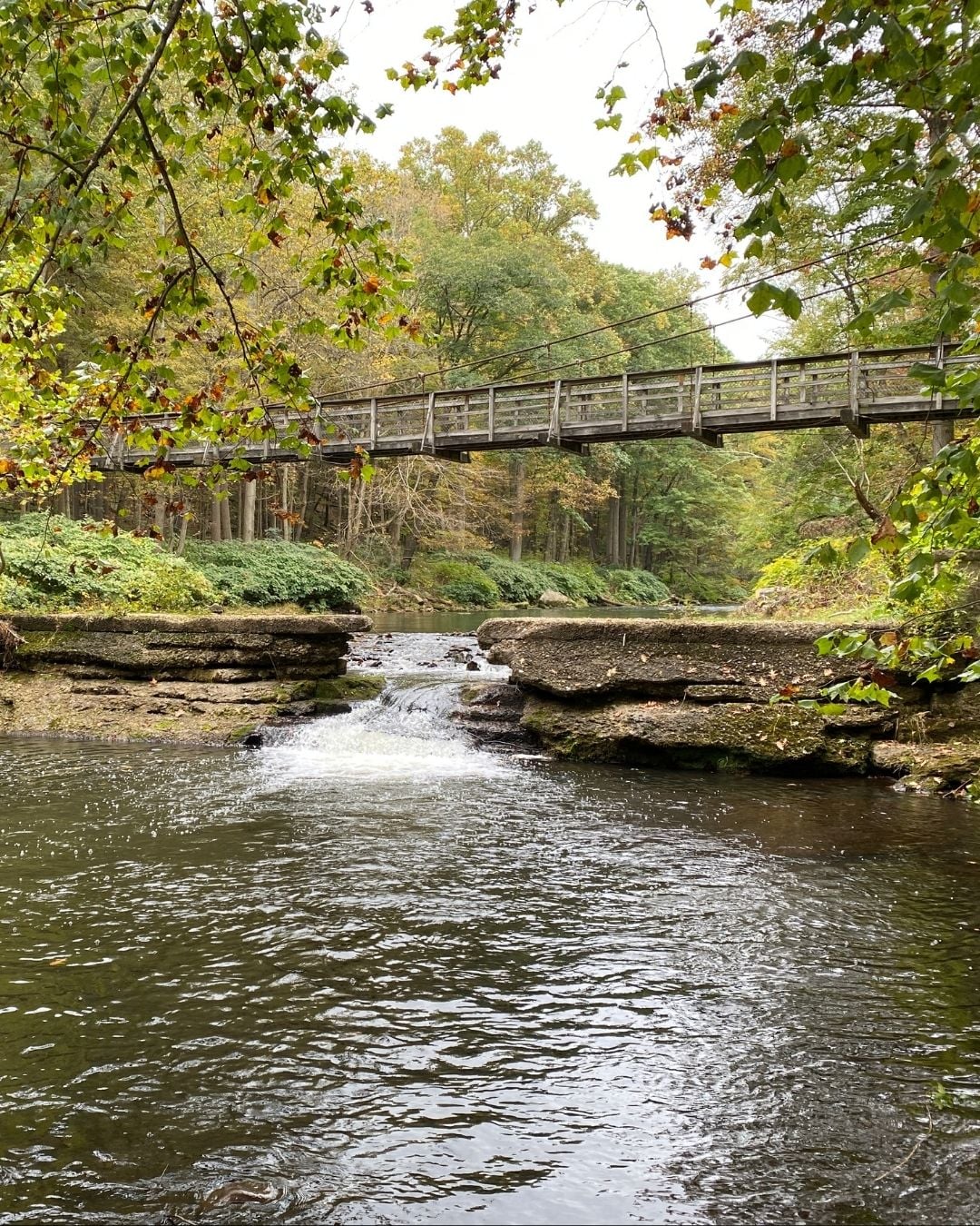 Explore Historic Pedestrian Suspension Bridges