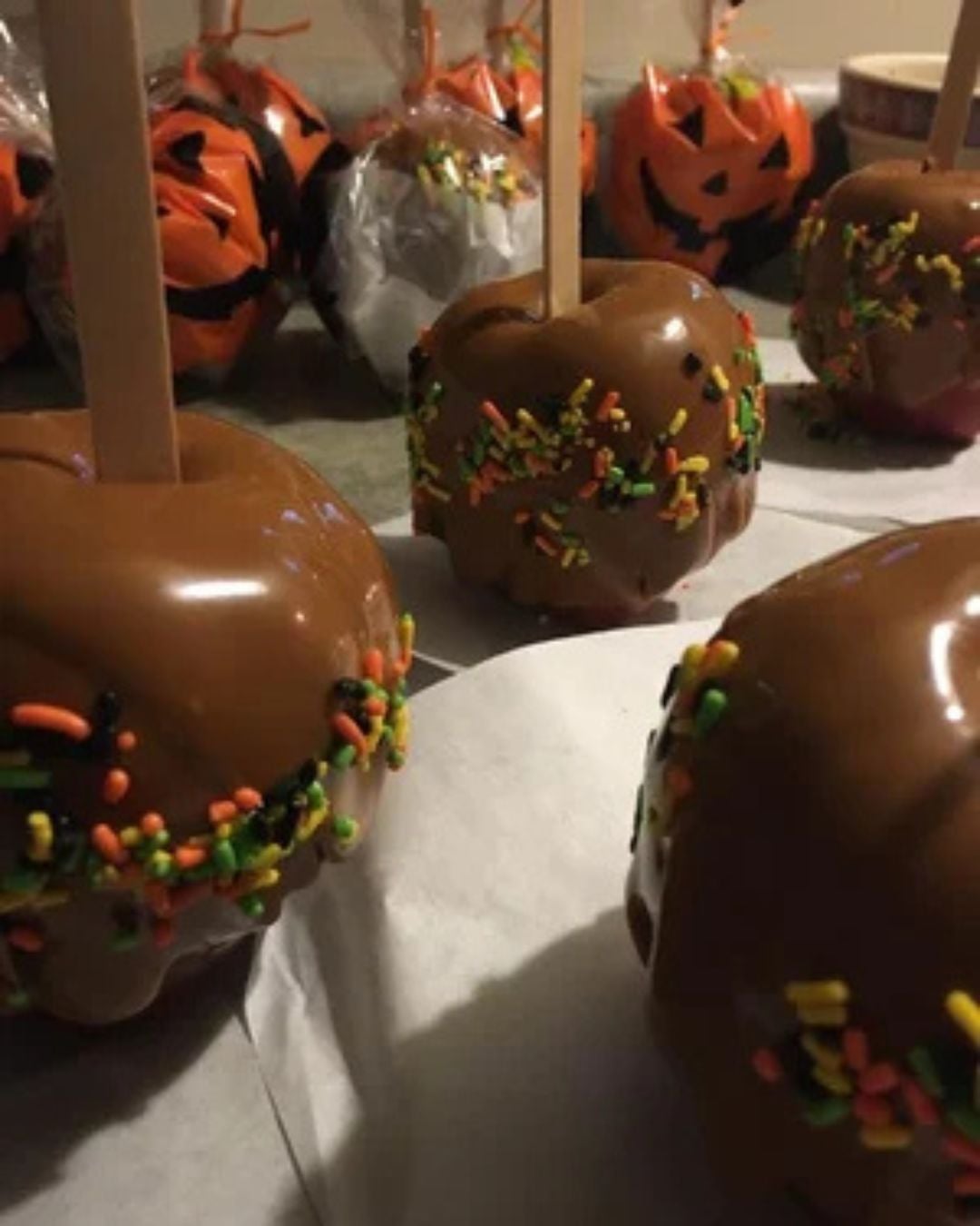 Fall Festival at Friends Store, Sang Run State Park