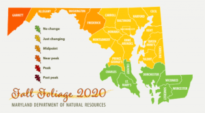 Maryland Fall Foliage Map 2020 - October 1