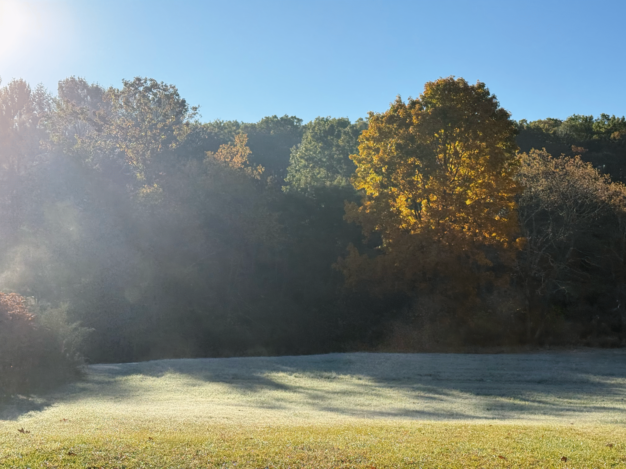 Fall Mornings