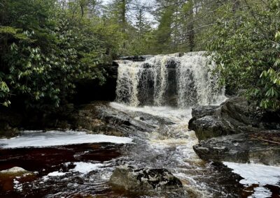 Deep Creek Daily Notes Blog April 7