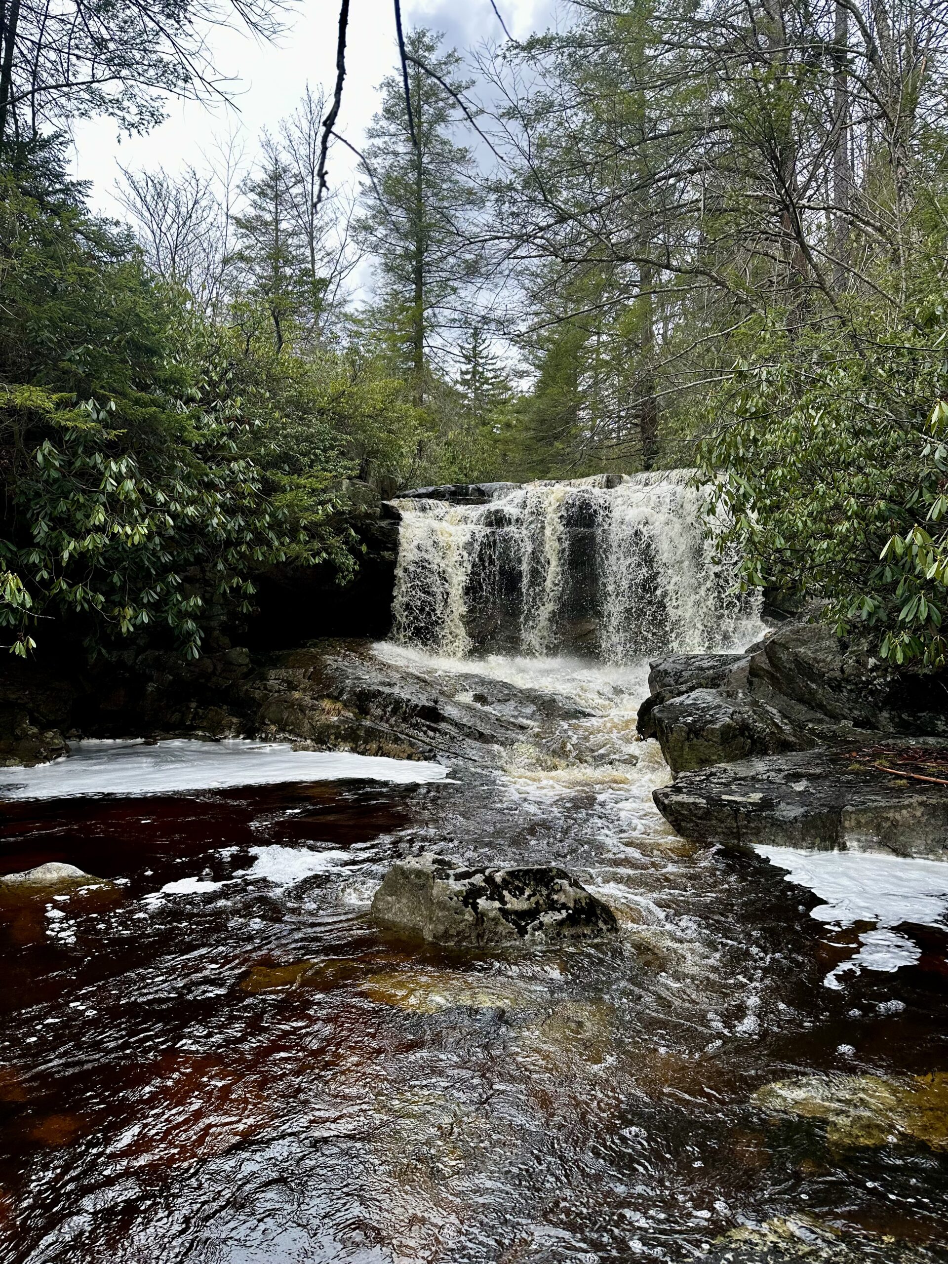 Falls on Big Run, Thomas WV