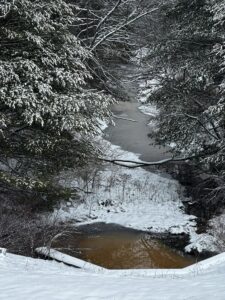 Feb 12 River at Herrington