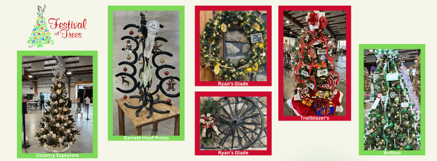 Festival of Trees Benefits GC Dove Center (Deep Creek Lake, MD)