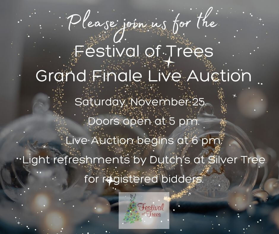 Festival of Trees Grand Finale Live Auction at Deep Creek Lake, MD