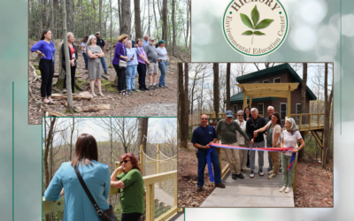 Naylor Family Tree Canopy Observation Area