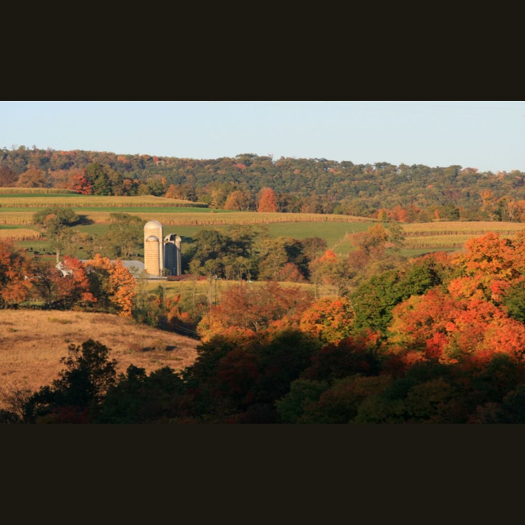 Garrett County Chamber of Commerce Announces 2025 Autumn Glory Fall Foliage Tours