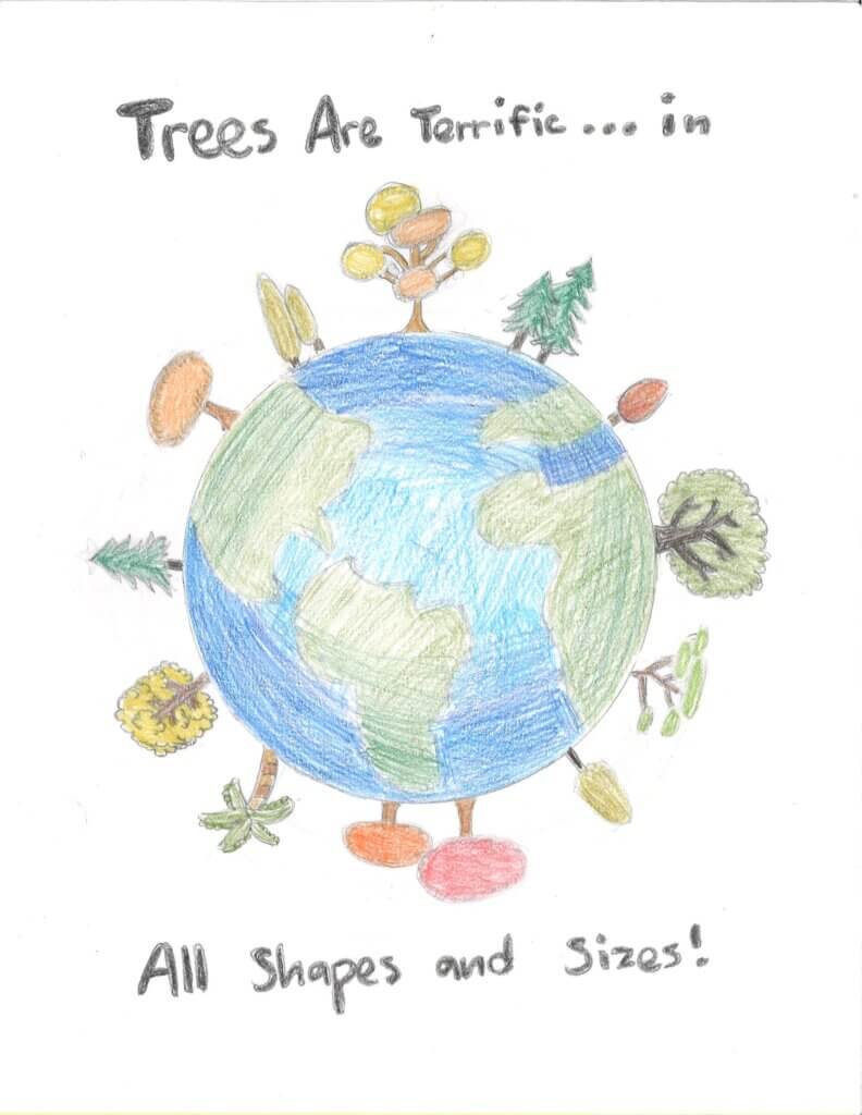 Garrett County Forestry Board Poster Contest Winners 1st Place - Kylie Foley at Deep Creek Lake, MD