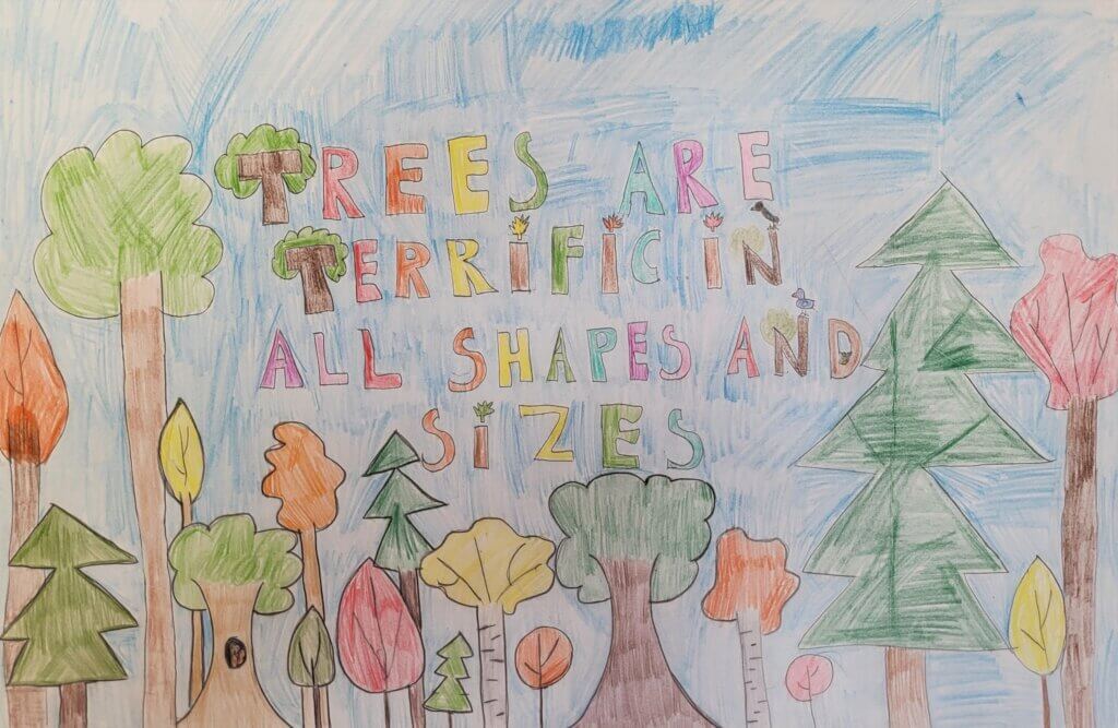 Garrett County Forestry Board Poster Contest Winners 2nd Place - Ayla Younkin at Deep Creek Lake, MD
