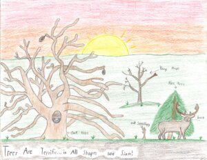Garrett County Forestry Board Poster Contest Winners 3rd Place - Lane Miller at Deep Creek Lake, MD