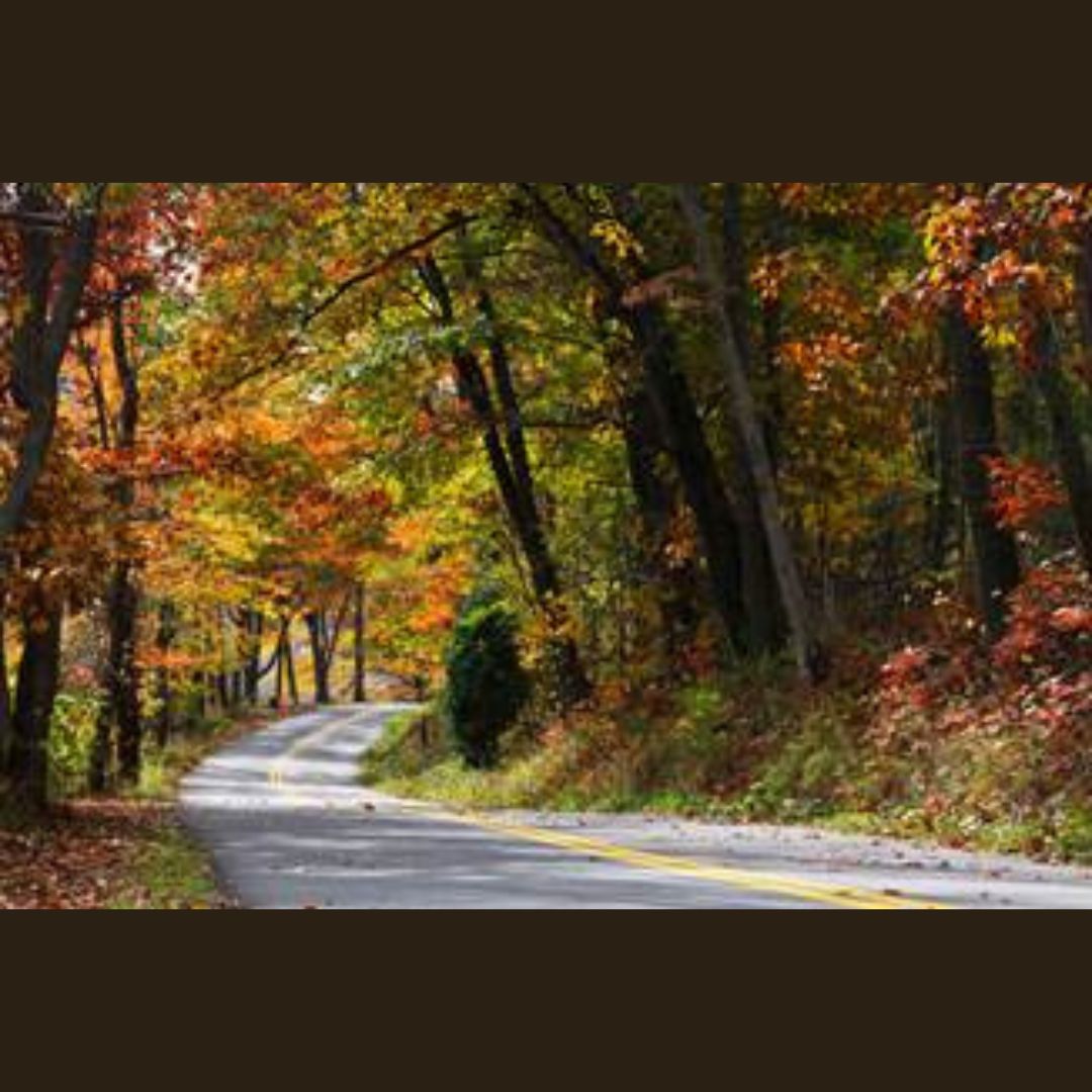Garrett County, Maryland's 58th Annual Autumn Glory Festival Set For October 8 – 12, 2025