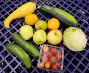 Garrett County Public Schools Food & Nutrition Department's Summer Food Service Program Serves Over 200,000 Meals at Deep Creek Lake, MD