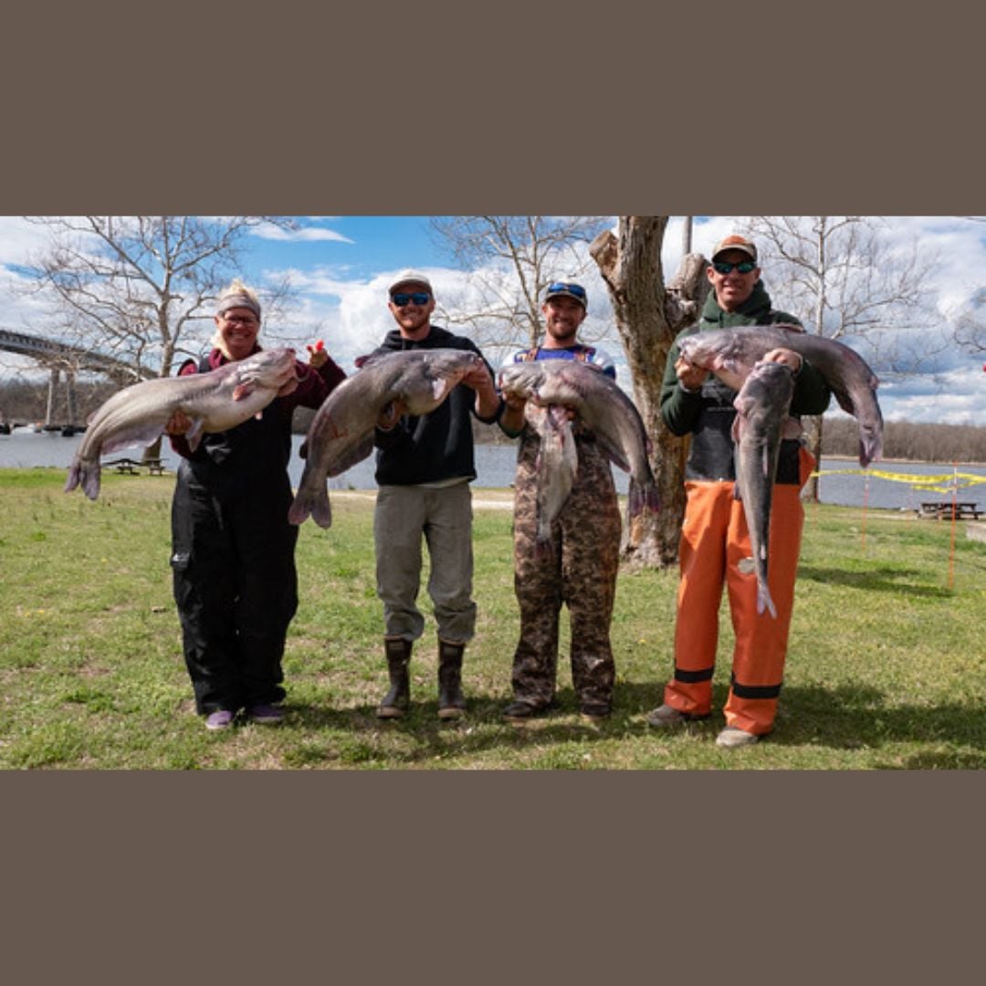 Get Hooked on Blue Catfish! Comprehensive List of 2025 Blue Catfish Fishing Tournaments in Maryland Get Hooked on Blue Catfish! Comprehensive List of 2025 Blue Catfish Fishing Tournaments in Maryland (Deep Creek Lake, MD)