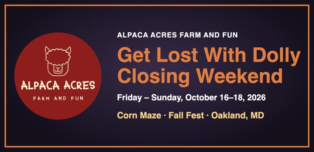 Alpaca Acres Farm and Fun logo with Get Lost With Dolly corn maze closing weekend, October 16-18, 2026