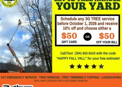 Get Your Yard Fall-Ready with 3G Tree Service