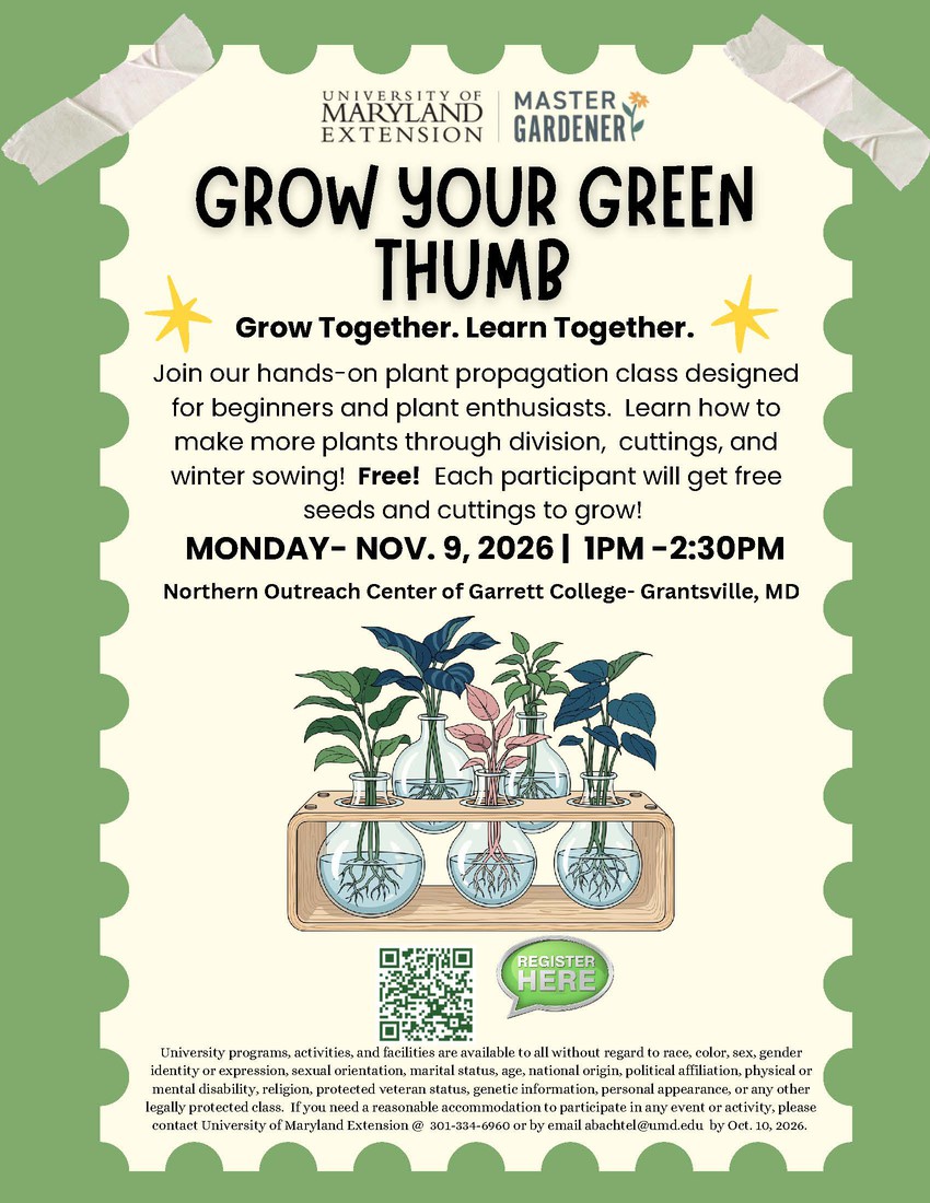 Grow Your Green Thumb