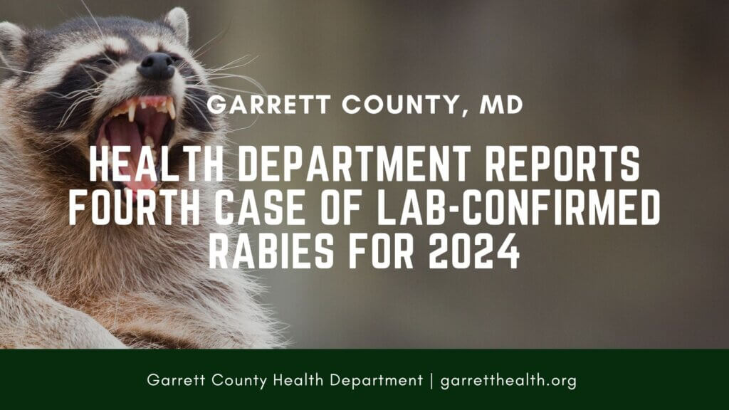 Health Department Reports Fourth Case of Lab-Confirmed Rabies for 2024 at Deep Creek Lake, MD