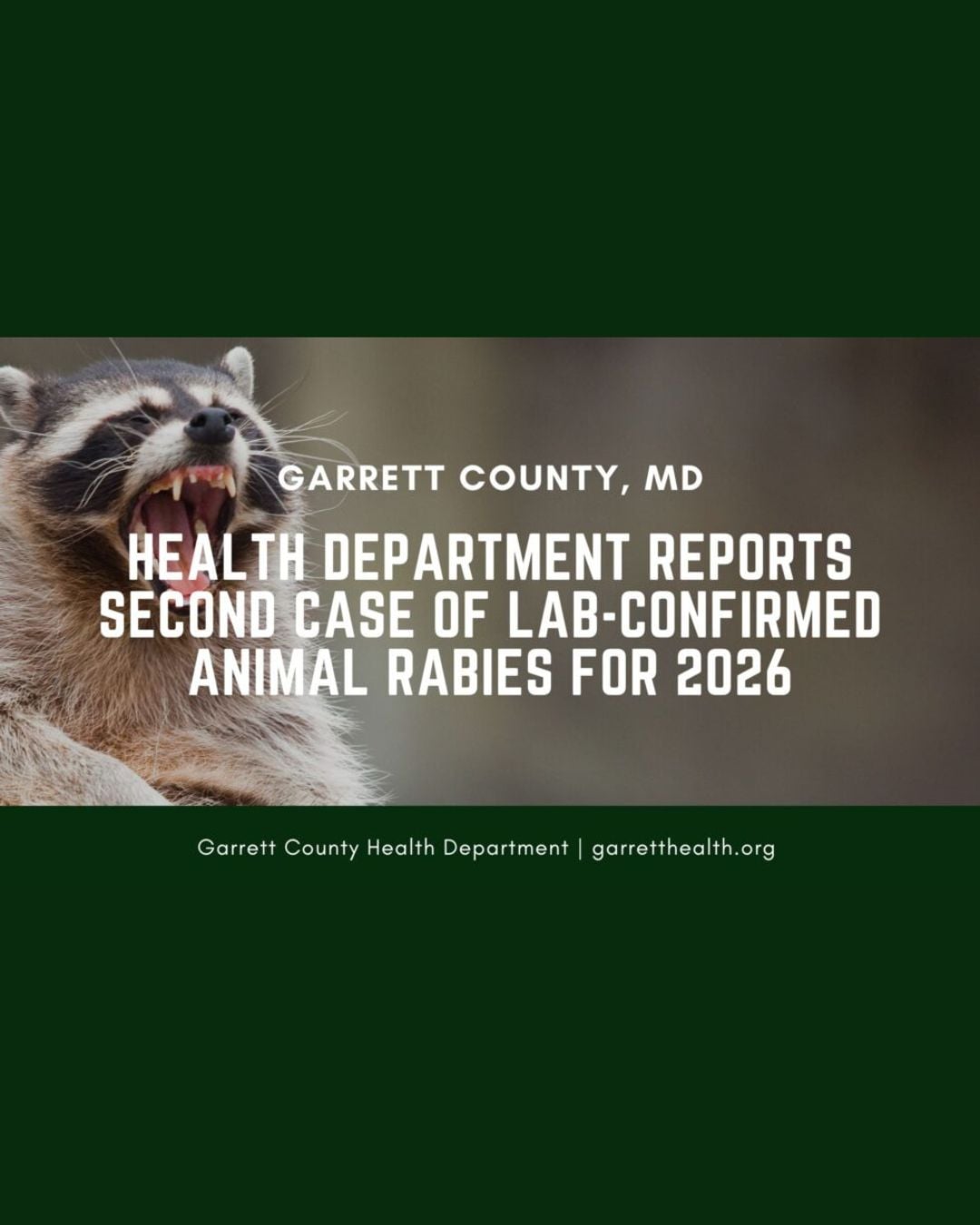 Health Department Reports Second Case of Lab-Confirmed Animal Rabies for 2026 Health Department Reports Second Case of Lab-Confirmed Animal Rabies for 2026