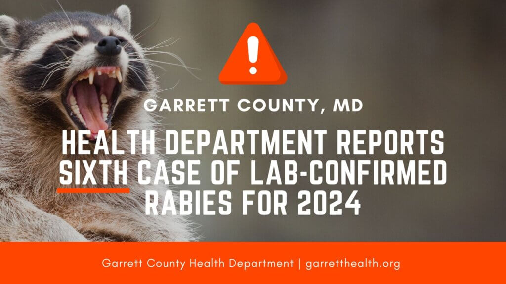 Health Department Reports Sixth Case of Lab-Confirmed Rabies for 2024 at Deep Creek Lake, MD