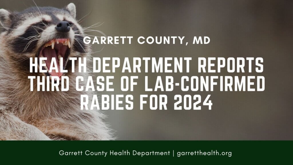 Health Department Reports Third Case of Lab-Confirmed Rabies for 2024 at Deep Creek Lake, MD