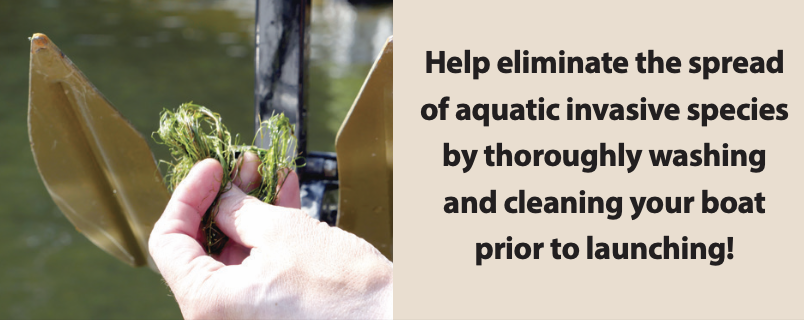 Help stop the spread of aquatic invasives! (Deep Creek Lake, MD)