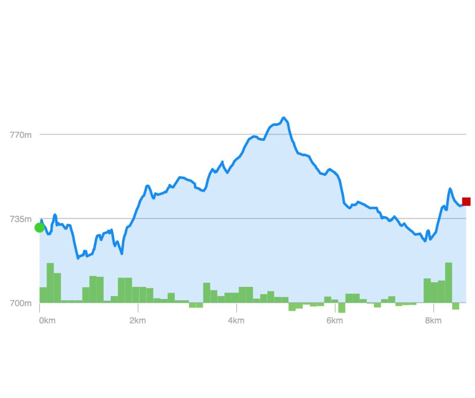 Elevation Profile - 5.5 Mile Trail (Herrington Manor State Park)