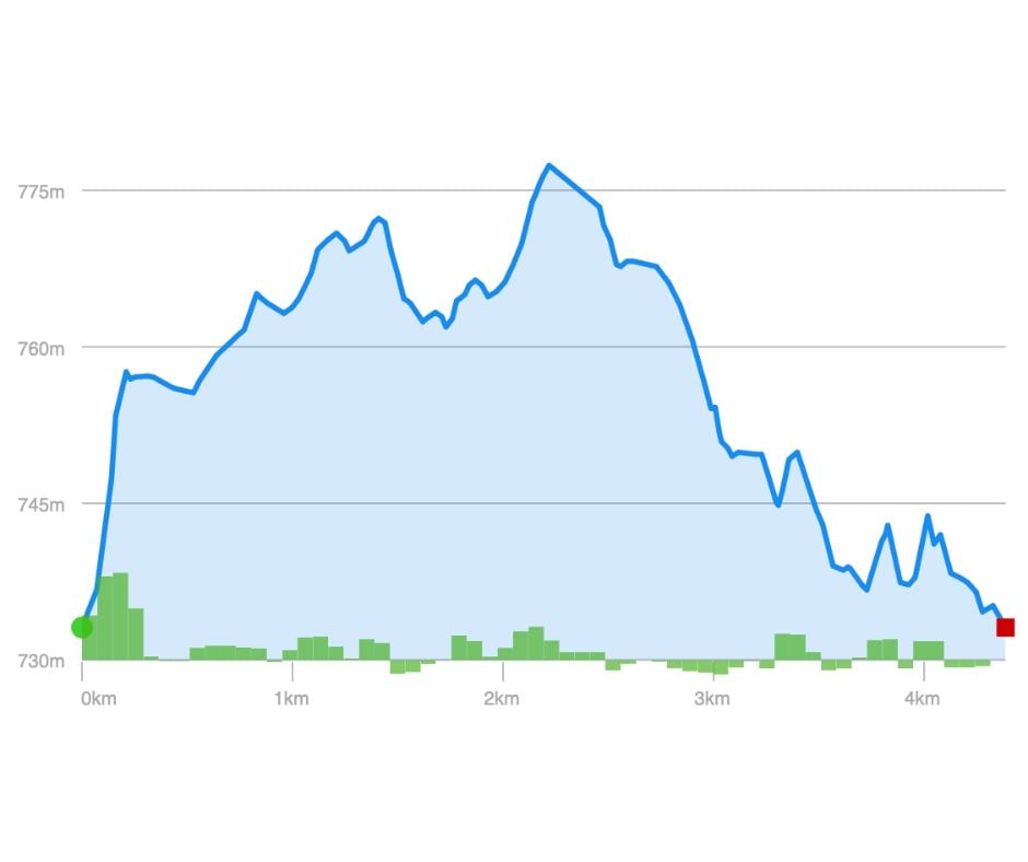 Elevation Profile - Blue Loop (Herrington Manor State Park)