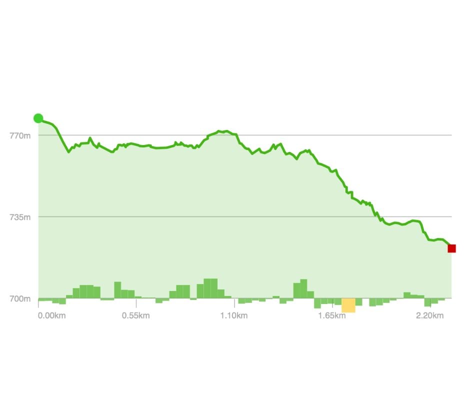Elevation Profile - Orange Blazes Cont. (Herrington Manor State Park)