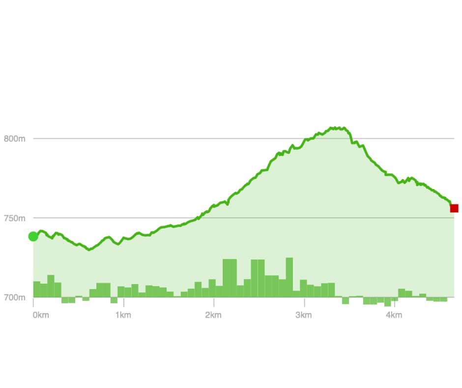 Elevation Profile - Orange Trail (Herrington Manor State Park)