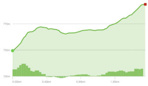Elevation Profile - Snaggy Mtn Snowmobile Trail 1 (Herrington Manor State Park)