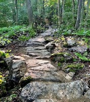 History Hike - In the Footsteps of Chief Nemacolin
